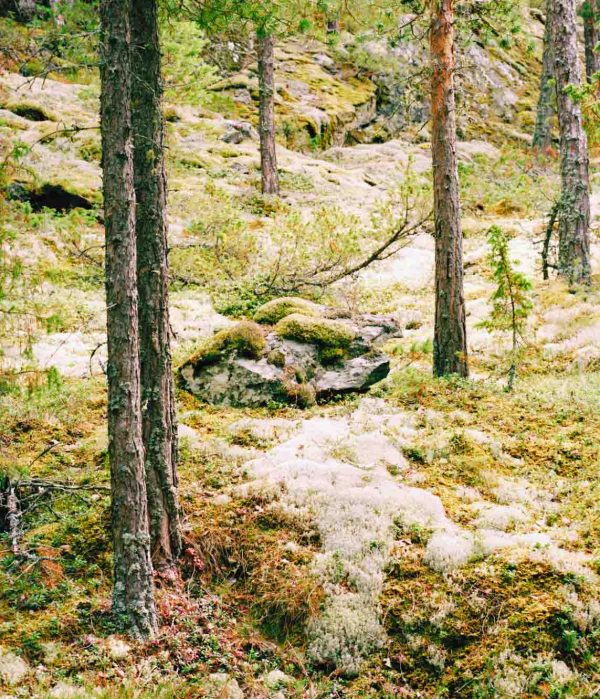 norsko (5)